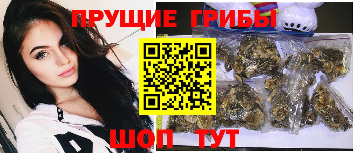 Галлюциногенные грибы GOLDEN TEACHER  Вход с VPN  Пушкино  Галлюциногенные грибы Magic Shrooms 