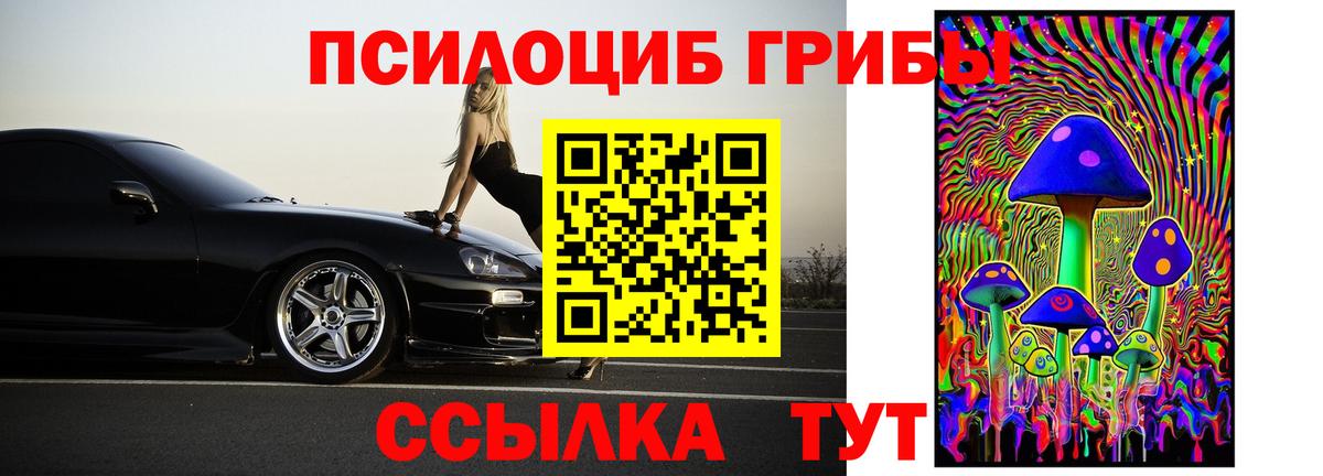 Псилоцибиновые грибы мицелий Пушкино